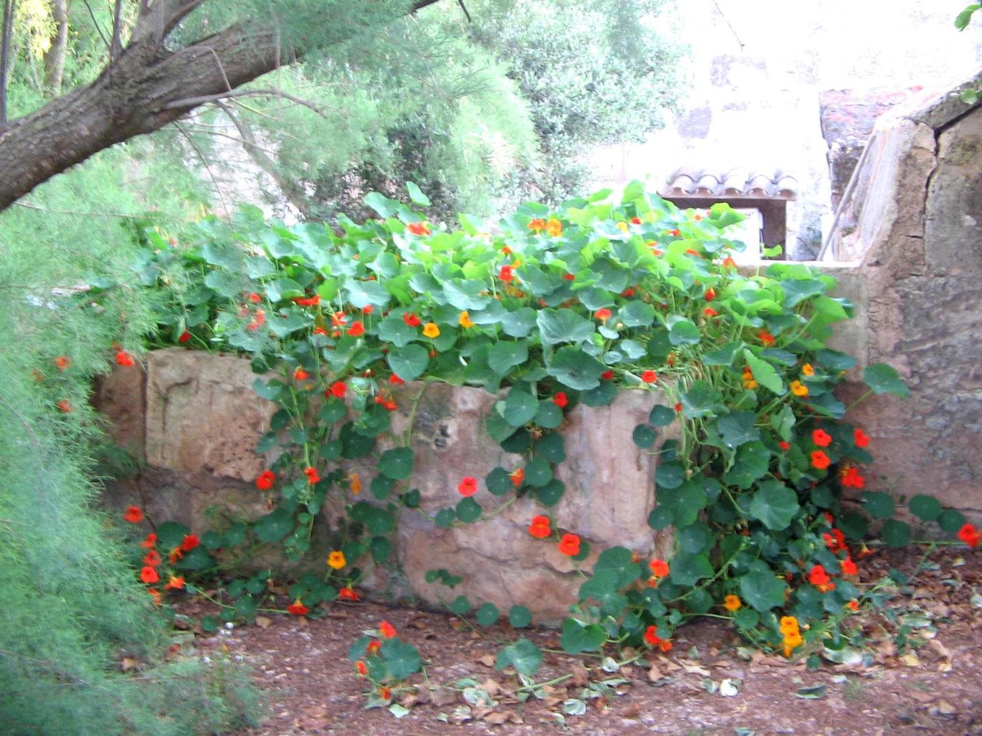 Agroturismo Finca Sant Blai Campos Kültér fotó