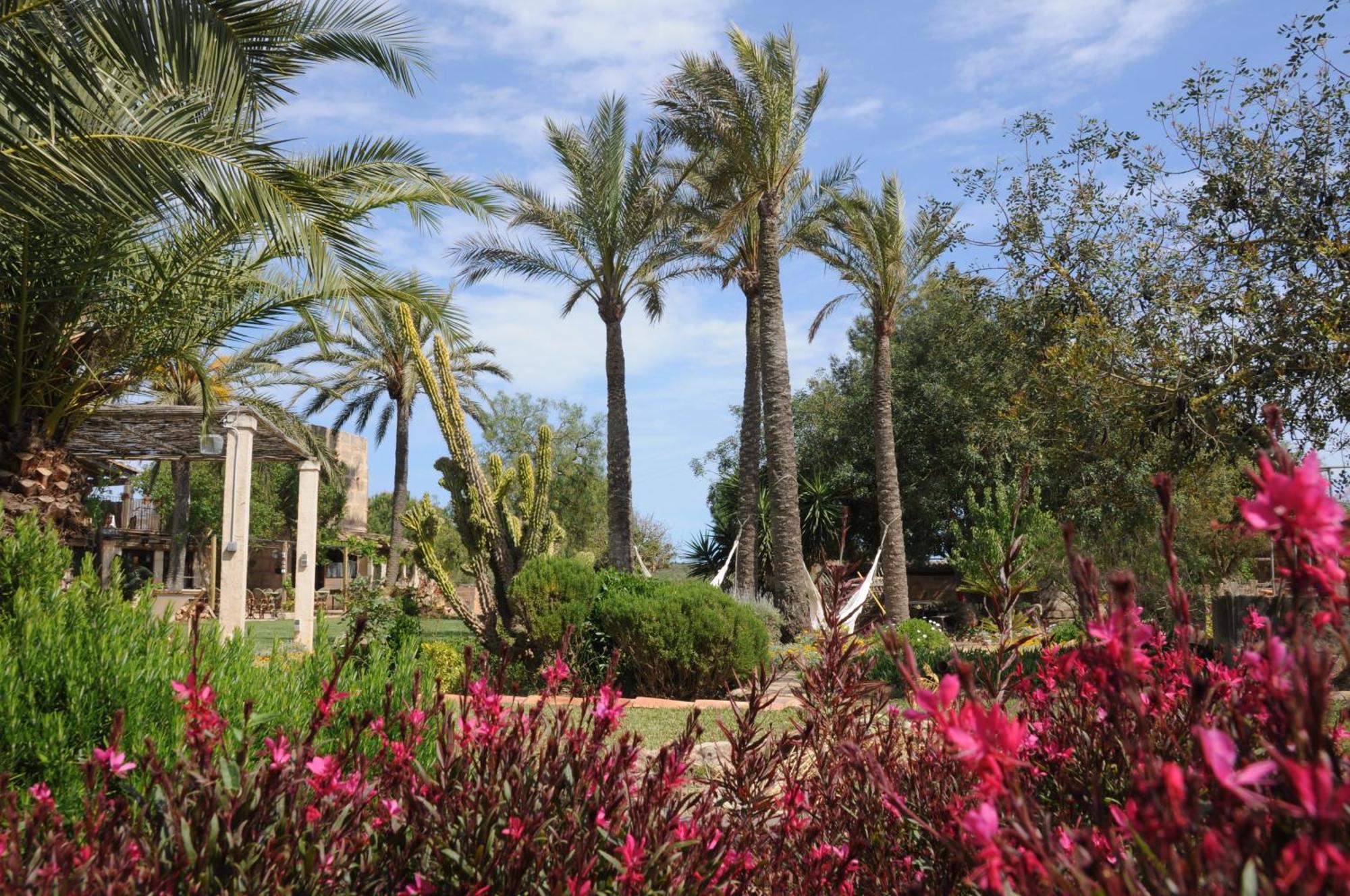 Agroturismo Finca Sant Blai Campos Kültér fotó