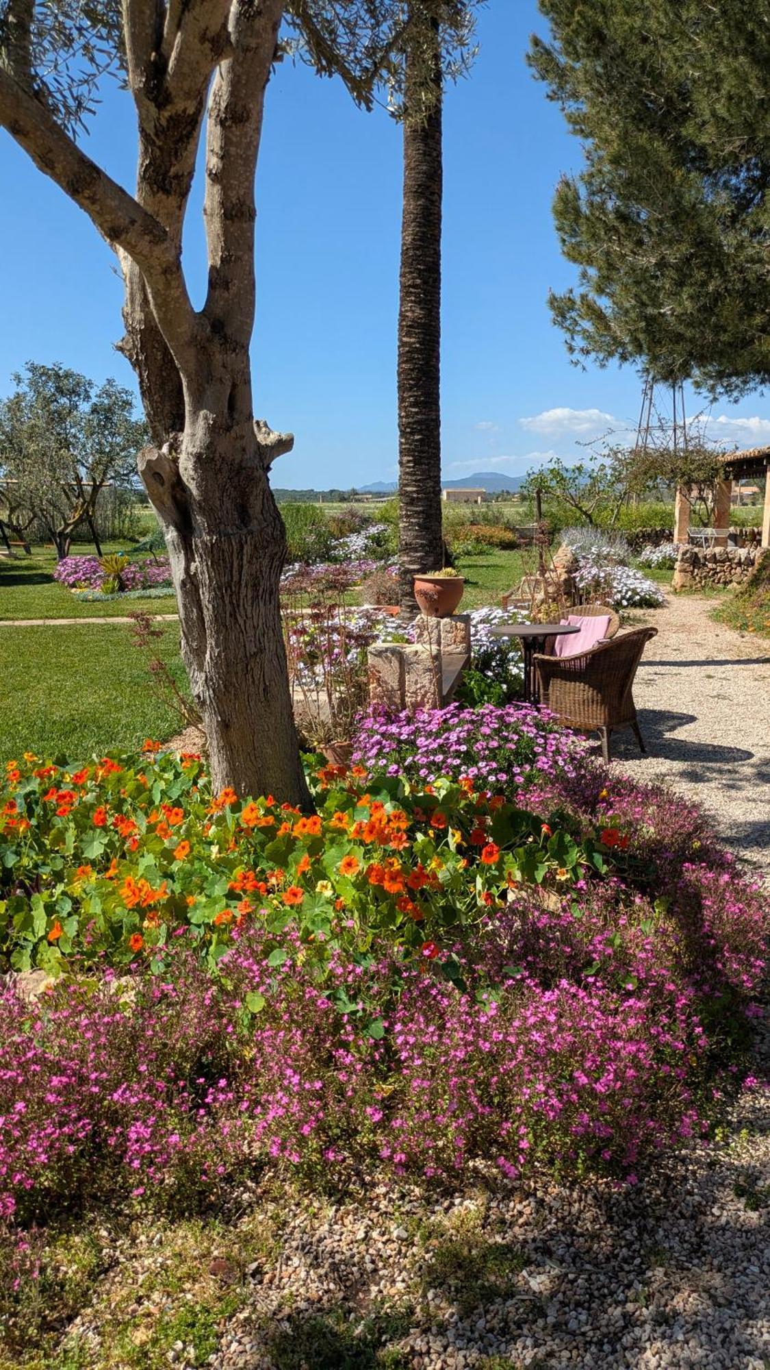 Agroturismo Finca Sant Blai Campos Kültér fotó