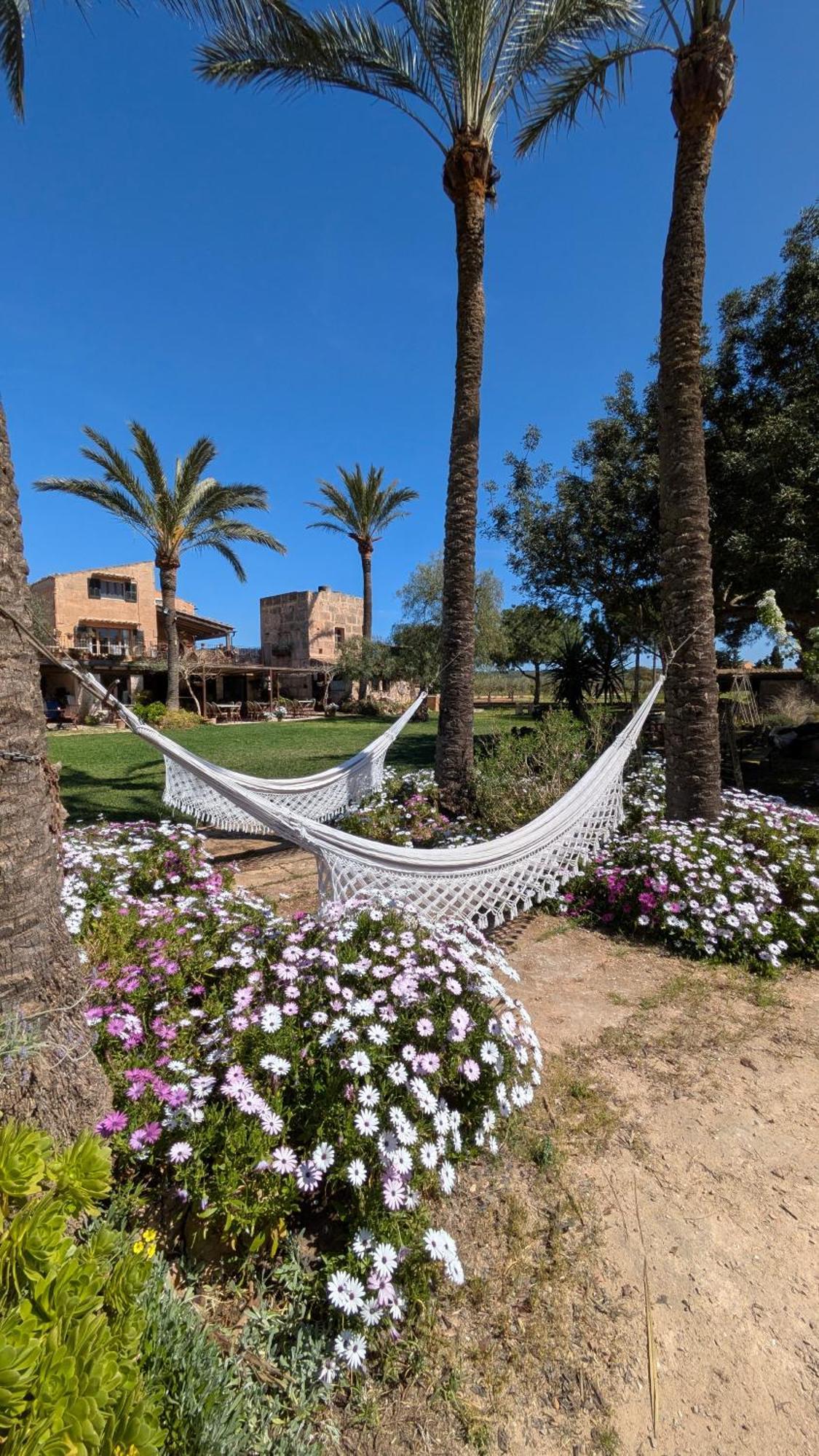 Agroturismo Finca Sant Blai Campos Kültér fotó