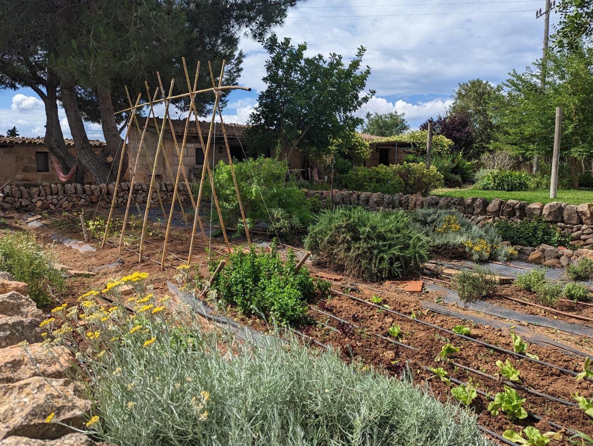 Agroturismo Finca Sant Blai Campos Kültér fotó