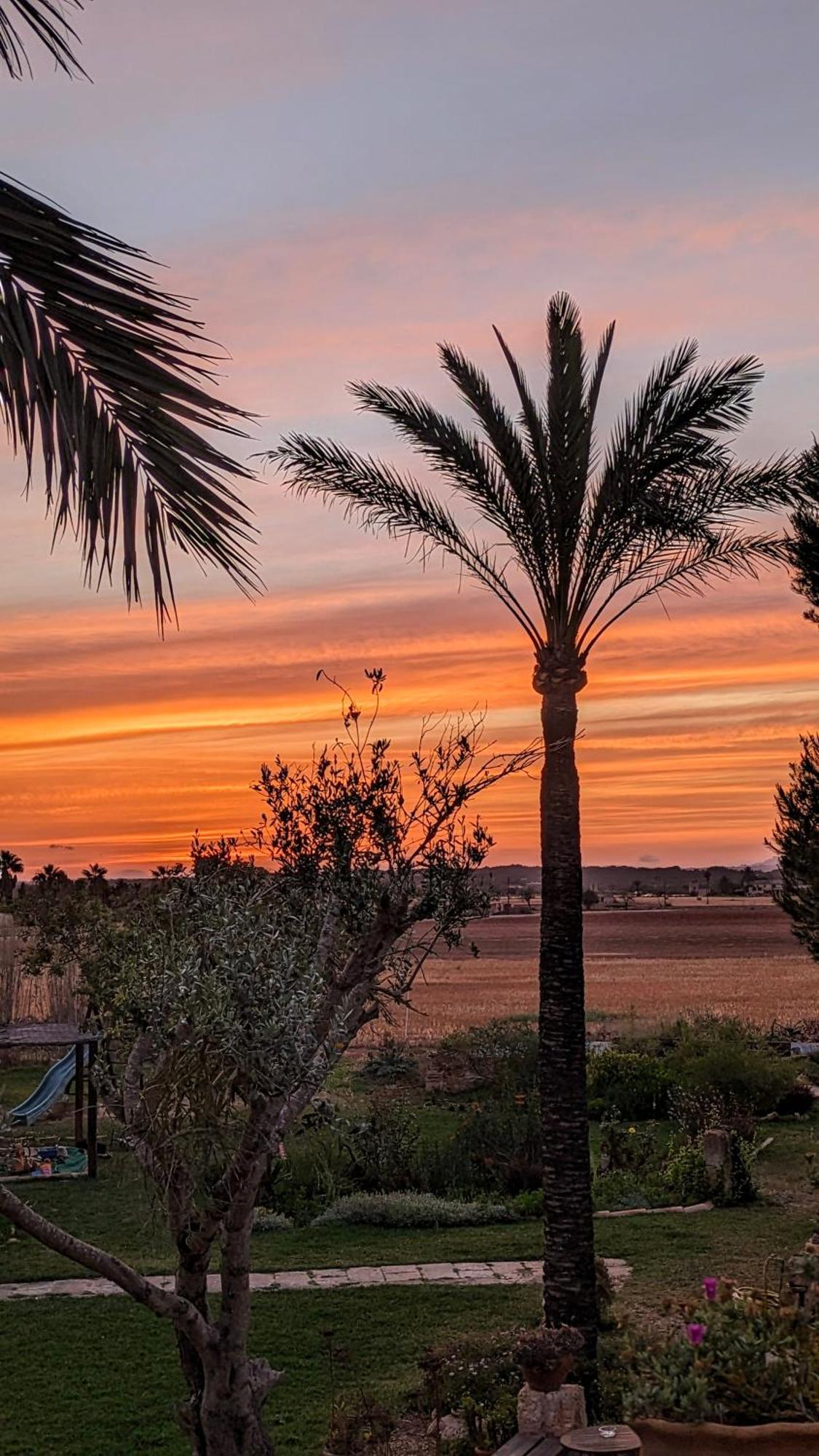 Agroturismo Finca Sant Blai Campos Kültér fotó