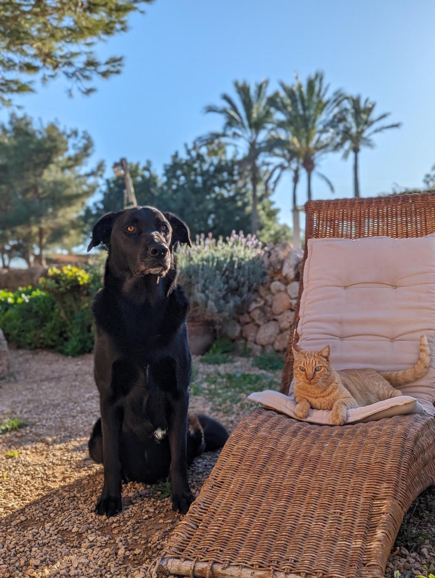 Agroturismo Finca Sant Blai Campos Kültér fotó