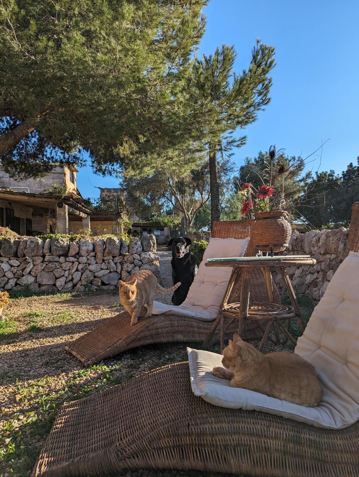 Agroturismo Finca Sant Blai Campos Kültér fotó