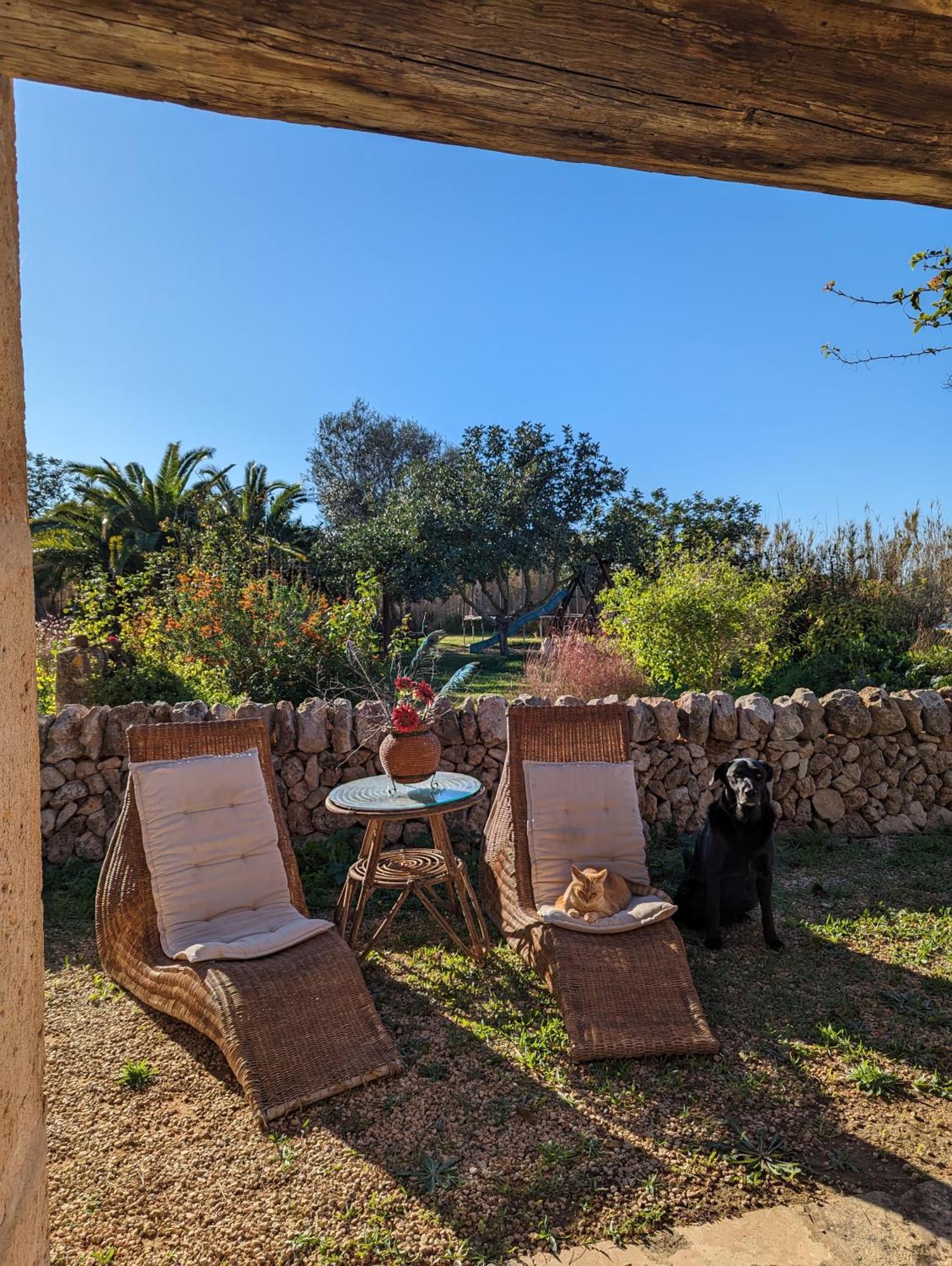 Agroturismo Finca Sant Blai Campos Kültér fotó